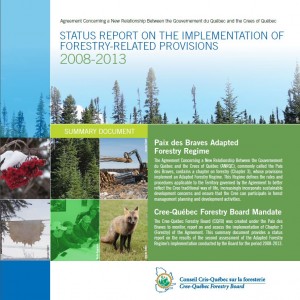 Status Report 2008-2013